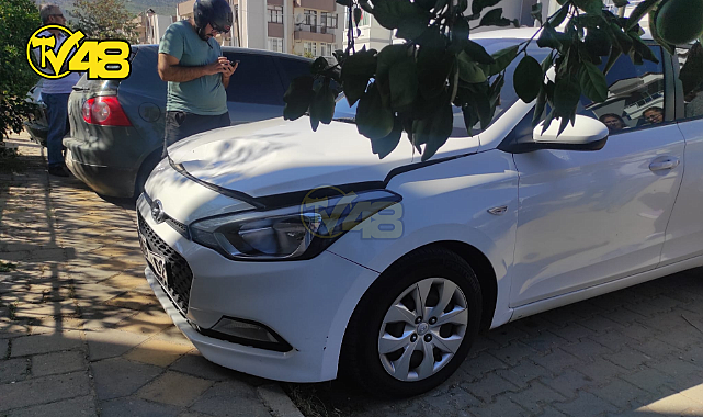 MİLAS&#039;TA ÖZ KARDEŞİNE KAZA SONUCU ÇARPAN ŞOFÖR HASTANEYE KALDIRILDI!