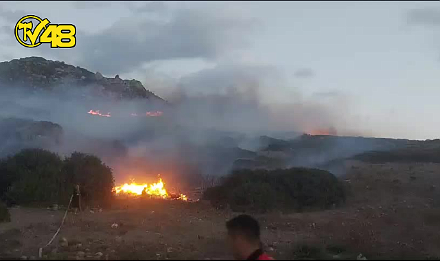 YALIKAVAK KÜDÜR YARIMADASINDA YANGIN ÇIKTI