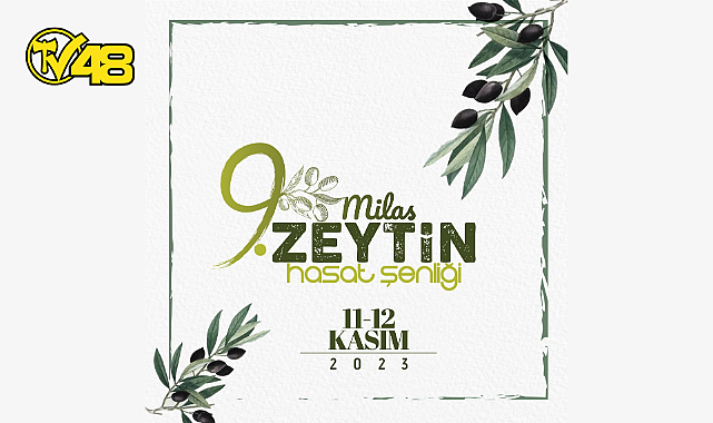 9. MİLAS ZEYTİN HASAT ŞENLİĞİ HEYECANI BAŞLIYOR
