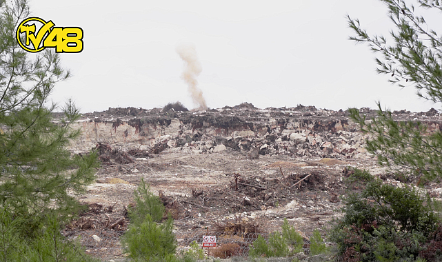 DÜNYA ZEYTİN AĞACI GÜNÜ&#039;NDE AKBELEN&#039;DE ZEYTİNCİLİK KANUNU ÇİĞNENİYOR