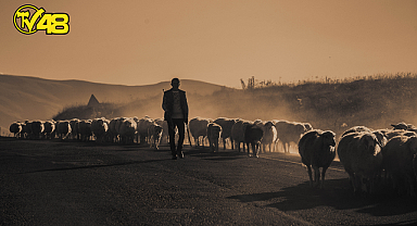 2 KOYUN VE 1 KEÇİYİ KAYBEDEN ÇOBANA KADIN ELBİSESİ GİYDİRİP TECAVÜZ ETMİŞLER!
