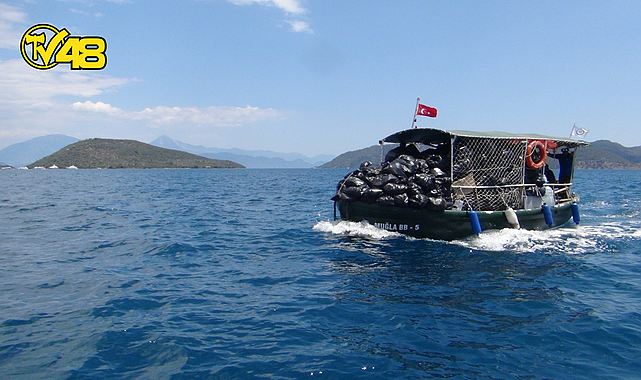 GÖKOVA KÖRFEZİNDE 40 BİN KG ÇÖP TOPLANDI