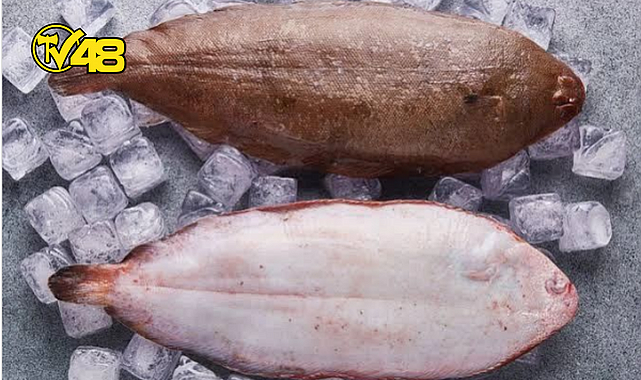 BALIKÇILAR DİKKAT! DİL VE PİSİ BALIĞI YASAK DÖNEMİ BAŞLIYOR