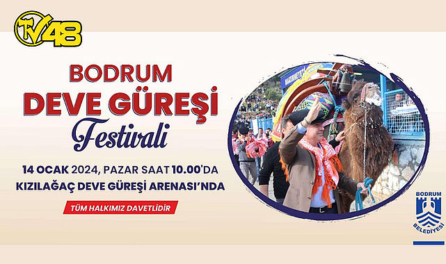 BODRUM DEVE GÜREŞİ FESTİVALİ İÇİN GERİ SAYIM