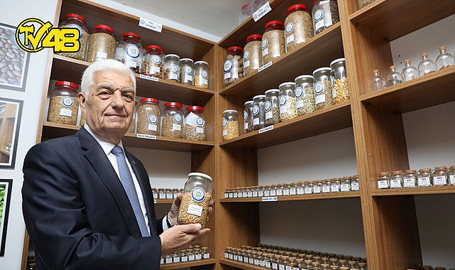 BÜYÜKŞEHİR 1 MİLYON YEREL TOHUMUN DAĞITIMINA BAŞLIYOR