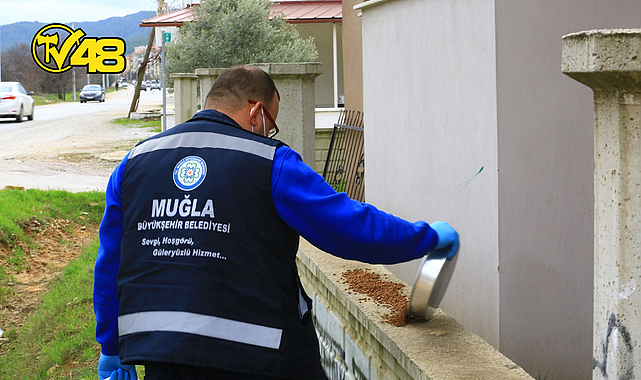 BÜYÜKŞEHİR CAN DOSTLAR İÇİN MAMA ÜRETİYOR