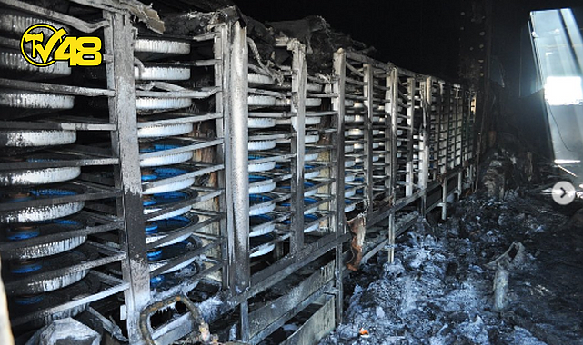 MİLAS İLÇESİ AVŞAR MAHALLESİNDE FAALİYET GÖSTEREN ADEC AKVARYUM FİRMASINDA HENÜZ BİLİNMEYEN NEDENLE YANGIN ÇIKTI