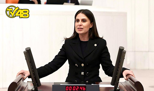 ÖZCAN, DALAMAN, ORTACA VE KÖYCEĞİZ&#039;DEKİ NARENCİYE ÜRETİCİLERİNİN SORUNLARINI MECLİS&#039;E TAŞIDI