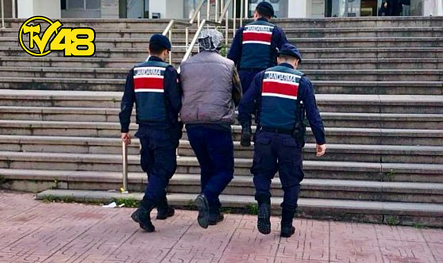 BODRUM’DA HAYVANLARI ZEHİRLEYEN KİŞİ TUTUKLANDI