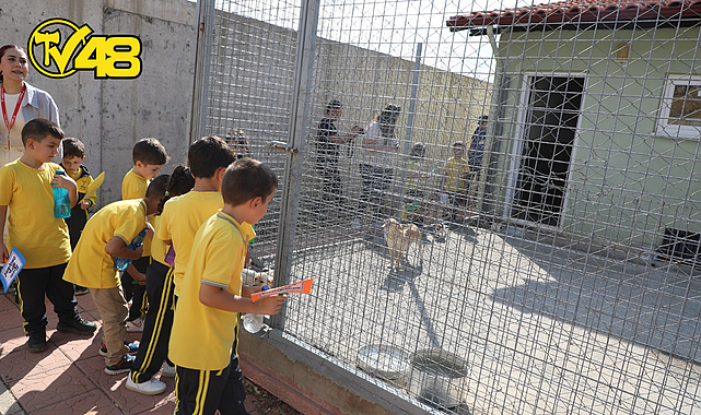 BÜYÜKŞEHİR GEÇİCİ HAYVAN BAKIMEVİ&#039;NE ZİYARETÇİ AKINI