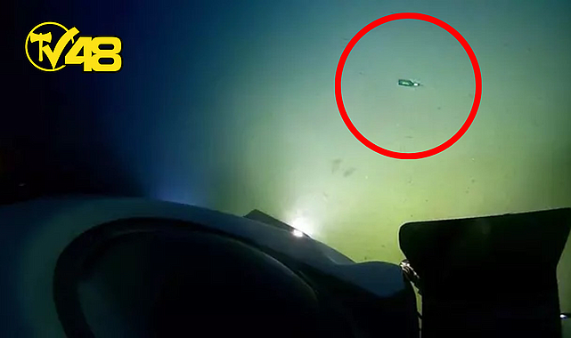 DÜNYANIN EN DERİN NOKTASI OLAN MARİANA ÇUKURU&#039;NDA BİRA ŞİŞESİ BULUNDU