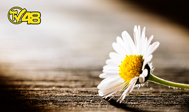 ÜNLÜ DÜŞÜNÜRLERDEN SEVGİ İLE İLGİLİ SÖZLER