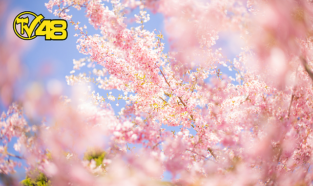 BAHARIN MÜJDECİSİ CEMRE TOPRAĞA DÜŞTÜ