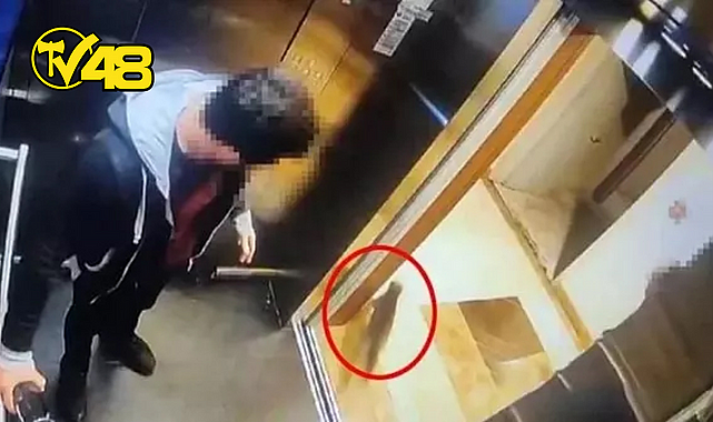 HAYVANSEVERLER, EROS İÇİN ADALET İSTİYOR: &quot;KATİL İBRAHİM KELOĞLAN&quot; SLOGANLARIYLA ADLİYEYE AKIN ETTİLER