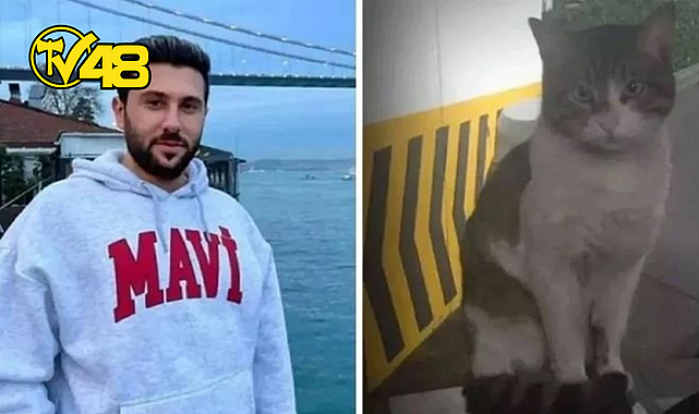 KEDİ EROS&#039;U VAHŞİCE ÖLDÜREN İBRAHİM KELOĞLAN ADLİ KONTROL ŞARTIYLA SERBEST BIRAKILDI