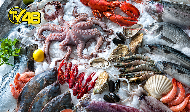 MUĞLA&#039;NIN İHRACATININ YÜZDE 73&#039;ÜNÜ SU ÜRÜNLERİ SEKTÖRÜ OLUŞTURDU