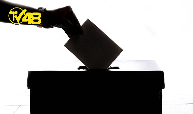 OY KULLANMA REHBERİ