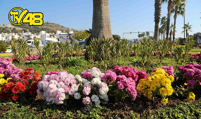 YARIMADA GENELİNDE YEŞİLLENDİRME ÇALIŞMALARI