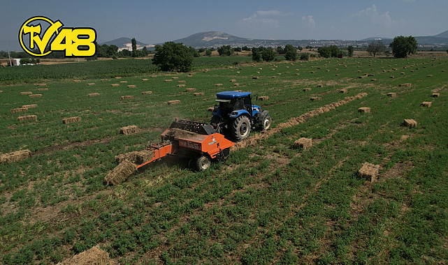 BÜYÜKŞEHİR, KABA YEM ÜRETİMİNDE YILIN İLK HASADINI YAPTI, ÜRETİCİLERE DAĞITTI