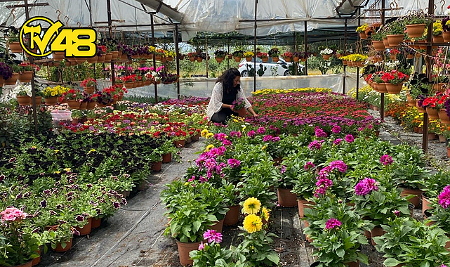 YAZ SEZONU ÇİÇEK ÜRETİMİ BAŞLADI