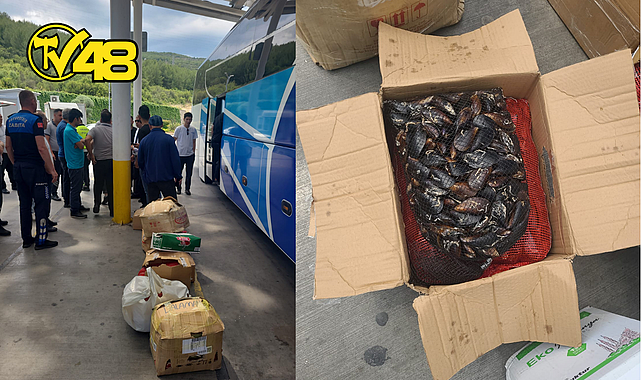 BÜYÜKŞEHİR ZABITA EKİPLERİ 176.5 KG MİDYEYE EL KOYDU