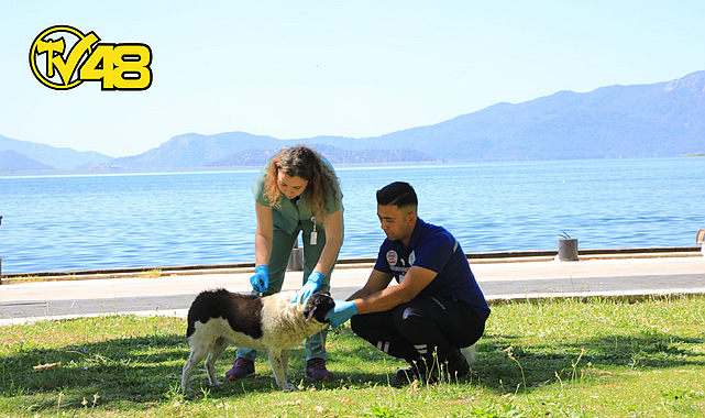 CAN DOSTLAR İÇİN ACİL MÜDAHALE ARACI YOLLARDA