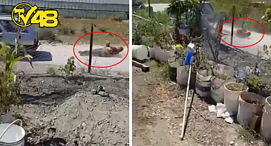 DEHŞETE DÜŞÜREN GÖRÜNTÜ TÜRKİYE'DEN! KOMŞUSUNU ARACININ ARKASINA BAĞLAYIP METRELERCE SÜRÜKLEDİ