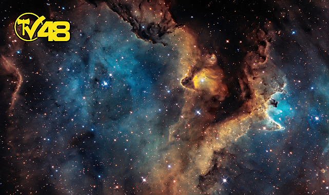 GÜNLÜK BURÇ YORUMLARI: 1 MAYIS 2024 ÇARŞAMBA