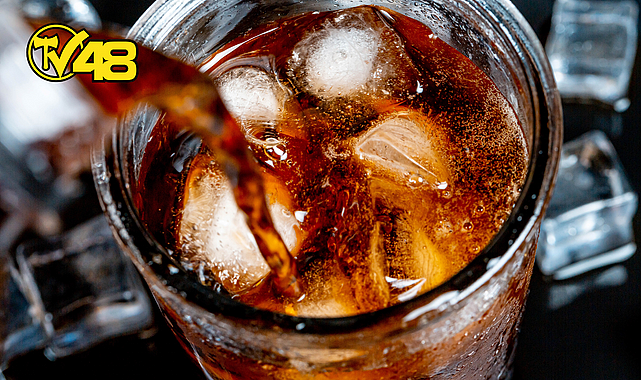 KOLA TUTKUNLARINA ÜZÜCÜ HABER