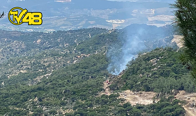 LABRANDA BÖLGESİNDE ORMAN YANGINI…