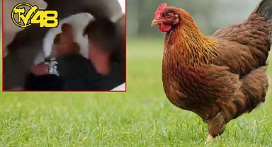 MİDE BULANDIRAN OLAY! SURİYE UYRUKLU ŞAHIS TAVUĞA TECAVÜZ ETTİ