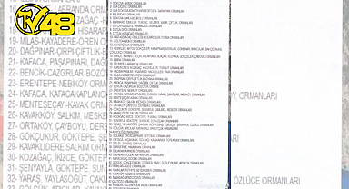 MUĞLA'DA BAZI BÖLGELERDE ORMANLIK ALANLARA GİRİŞ YASAĞI GETİRİLDİ