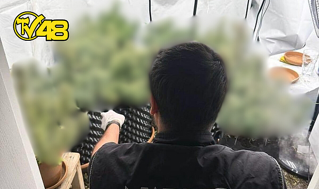 ORTACA&#039;DA EVDE UYUŞTURUCU YETİŞTİREN ŞAHIS YAKALANDI