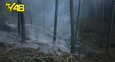 YARAŞ BÖLGESİNDE YANGIN