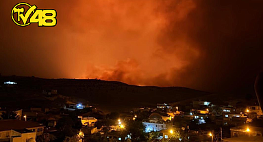 ANIZ YANGINI FELAKETİ…