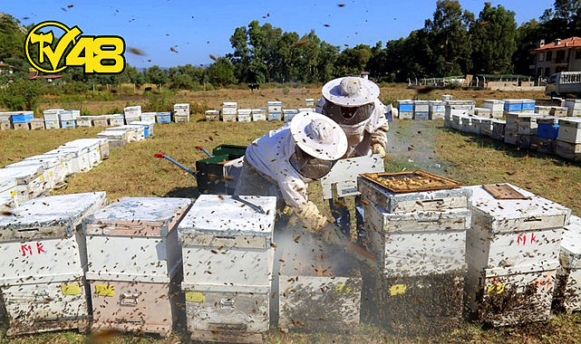 ARICILAR ORMAN YANGINLARINA KARŞI UYARILDI