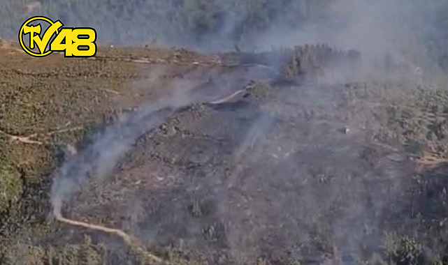 BÖRDÜBET YANGINI SÖNDÜRÜLDÜ