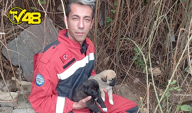 BÜYÜKŞEHİR İTFAİYESİNDEN HAYVAN KURTARMA OPERASYONU