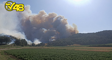 ÇANAKKALE'DE ORMAN YANGINI! GEMİ TRAFİĞİ ASKIYA ALINDI