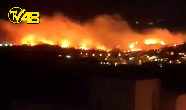 DİKİLİ YANGINI KONTROL ALTINDA