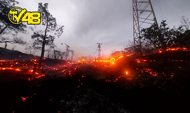 MARMARİS&#039;TE ORMAN YANGINI