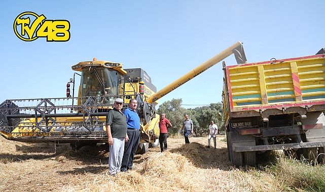 MİLAS BELEDİYESİ BUĞDAY VE TRİTİKALE HASADI GERÇEKLEŞTİRDİ