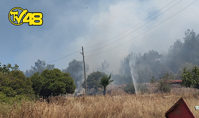 MİLAS&#039;TA ZİRAİ ALANDA YANGIN