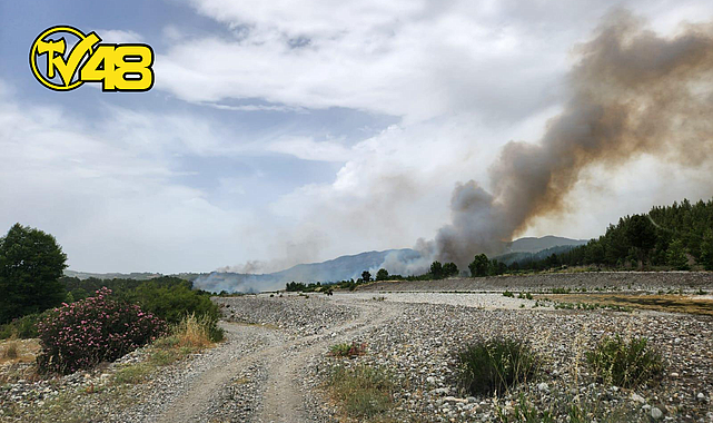 MUĞLA-DENİZLİ İL SINIRINDA ORMAN YANGINI BÜYÜYOR