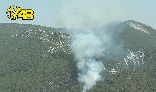 MUĞLA MİLAS DEMİRCİLER KÖYÜ YAKINLARINDA YANGIN