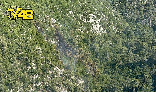 MUĞLA MİLAS DEMİRCİLER KÖYÜ YAKINLARINDA YANGIN SÖNDÜRÜLDÜ