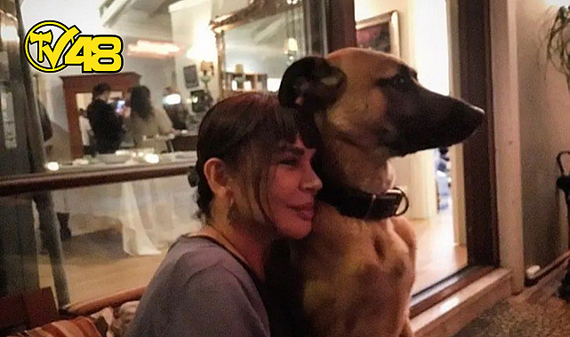 SEZEN AKSU BODRUM&#039;DAKİ EVİNİ SOKAK HAYVANLARINA AÇTI