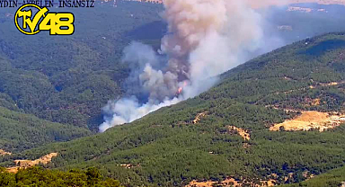 AYDIN ÇİNE'DE ORMAN YANGINI