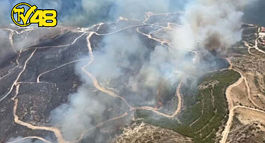 ÇEŞME'DE ORMAN YANGINI!