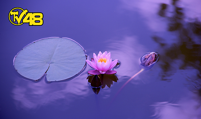 İYİ HİSSETMENİZİ SAĞLAYACAK 10 İPUCU